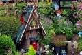 in Fairy garden
