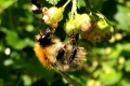 IMG-20220601-WA0005-002
