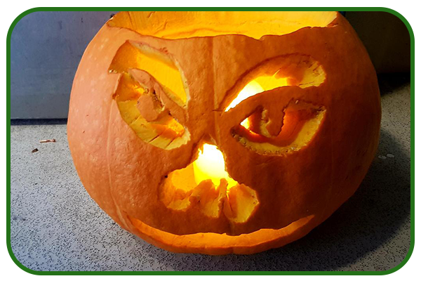 pumpkin-002-copy