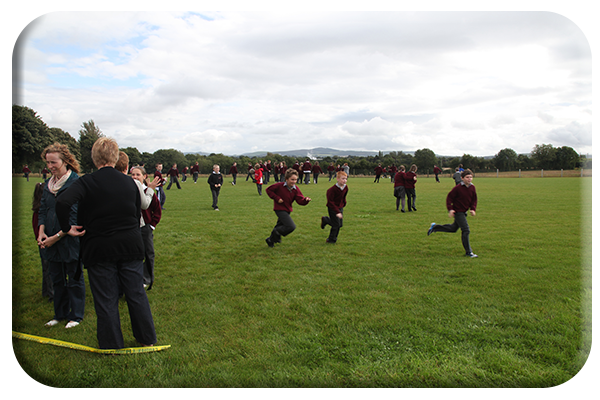 The-field-015-copy