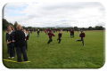 The-field-015-copy