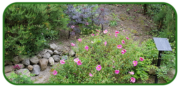 20190523_080555-copy
