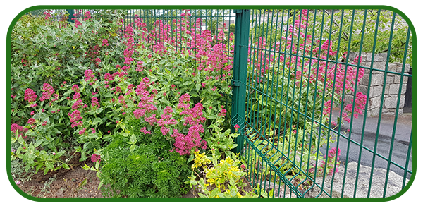 20190523_081633-copy