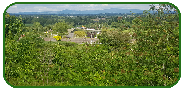 20190528_062900-002-copy