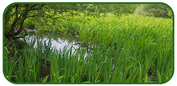 20190602_172032-002-copy