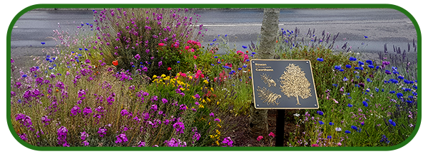 20190708_164427-002-copy