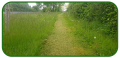 20190523_074830-copy