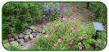 20190523_080555-copy