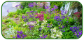 20190524_050549-copy