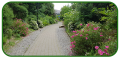 20190531_145453-002-copy
