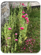 IMG_1641-002-copy